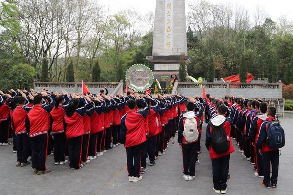 大学学分必修课学分可以替换选修课学分吗?-有问必答平台